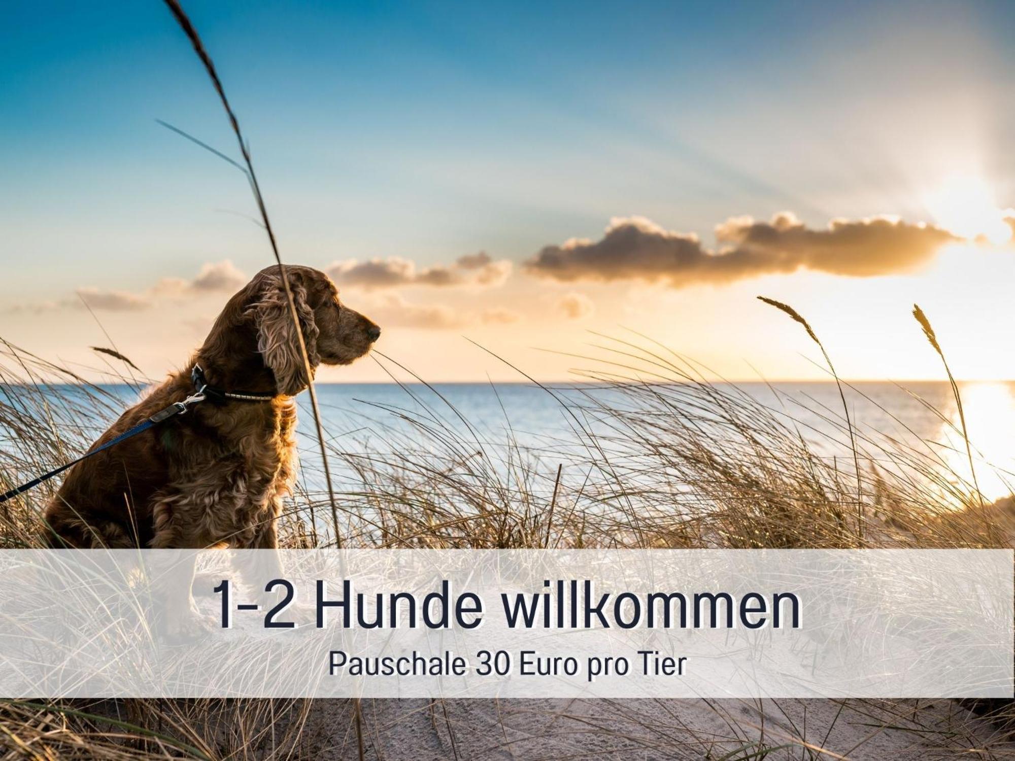 Penthouse - 3 Schlafzimmer- Sonnige Dachterrasse -Whirlpool & Alpenblick - Perfekt Fuer Romantik Oder Familienurlaub Mit Kind, Hund Willkommen - By Ferienwohnenamsee - Юберлінген Екстер'єр фото